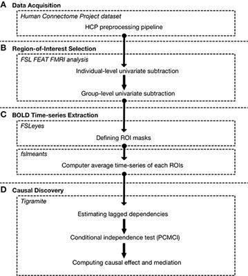 Constructing Brain Connectivity Model Using Causal Network Reconstruction Approach